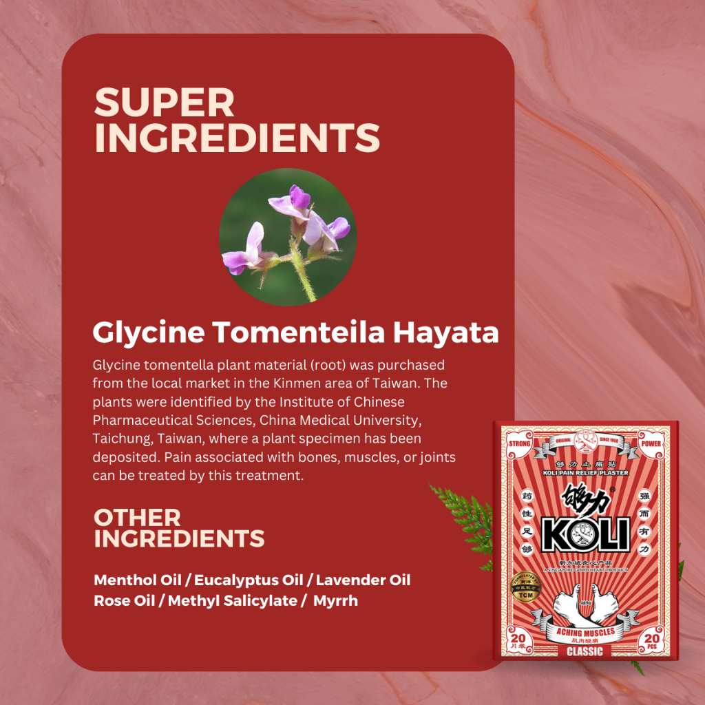 够力 KOLI CLASSIC Pain Relief Plaster (ACHING MUSCLES)