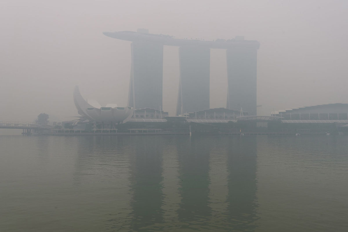 Poor Air Quality: How Do We Protect Our Skin?