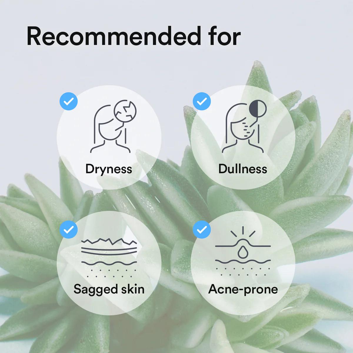 Abib Collagen Gel Mask Sedum Jelly