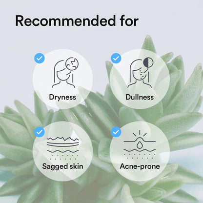 Abib Collagen Gel Mask Sedum Jelly